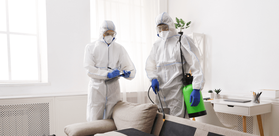 disinfection services
